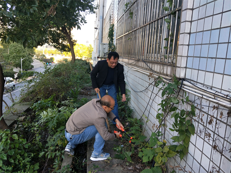 1637134832739454.png 1637134832739454.png