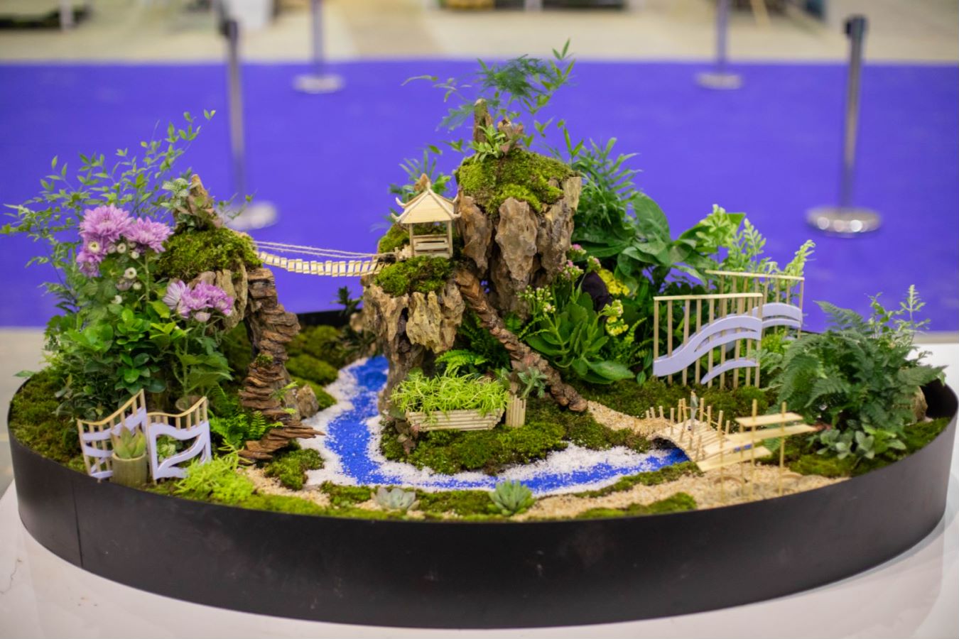 1693797040887478.jpg 1693797040887478.jpg