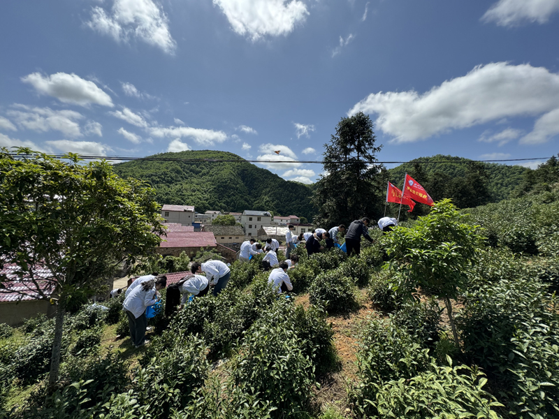 1713497491648938.jpg 1.jpg