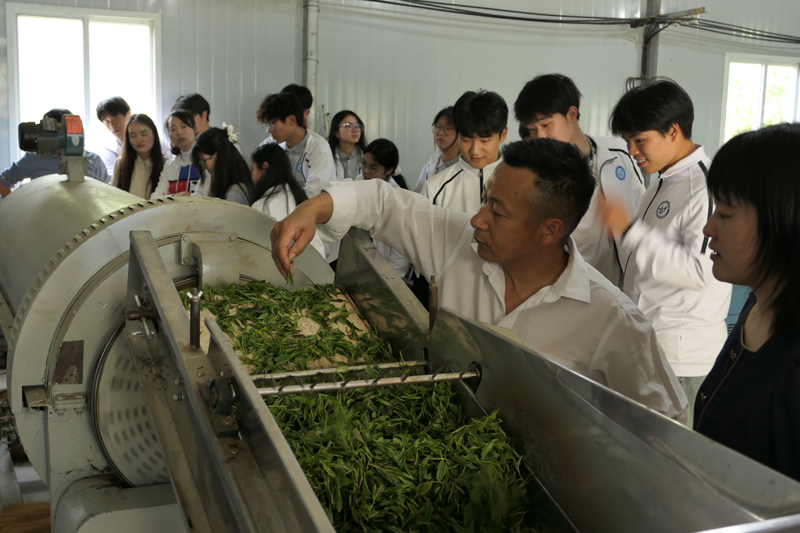 1713497514201037.jpg 2.jpg