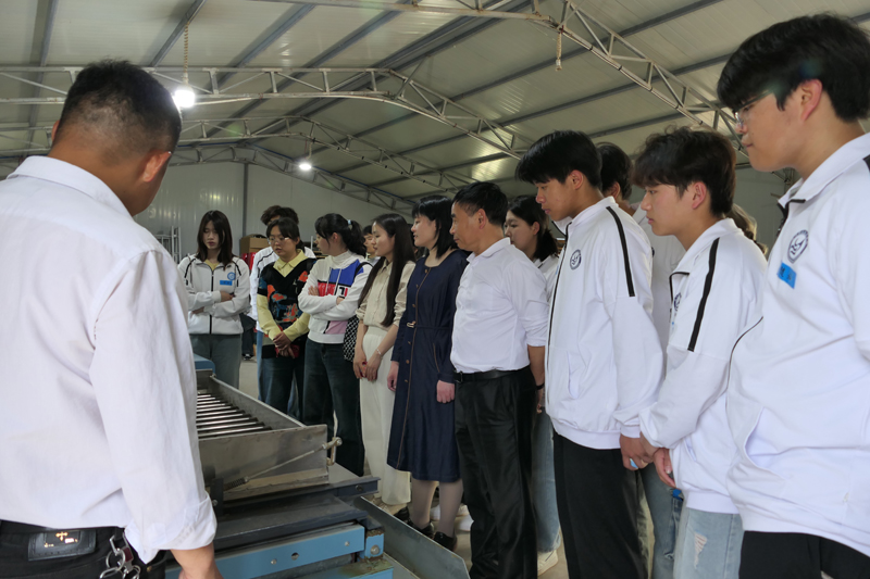 1713497564248842.jpg 3.jpg