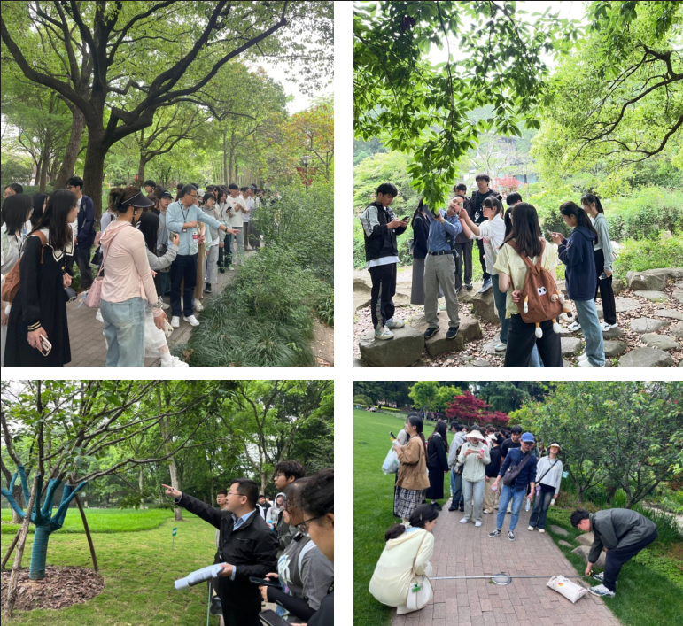 1715313519779520.png 1715313519779520.png