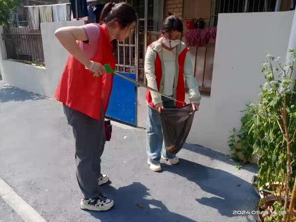 1717397475368764.jpg 7.jpg