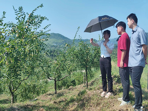 1724918130426153.jpg 9e9d2184ba1fa221f87cd7e5ff970cf.jpg